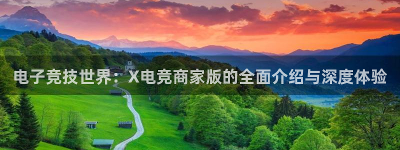 火狐电竞最新官网入口：电子竞技世界：X电竞商家版的全面介绍与深度体验