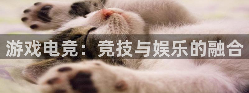 火狐电竞网页