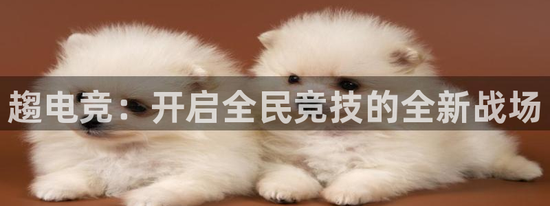 火狐电竞APP下载：趨电竞：开启全民竞技的全新战场