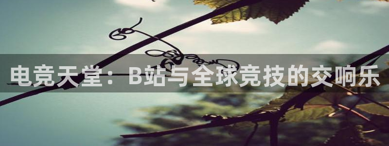 火狐电竞ios：电竞天堂：B站与全球竞技的交响乐
