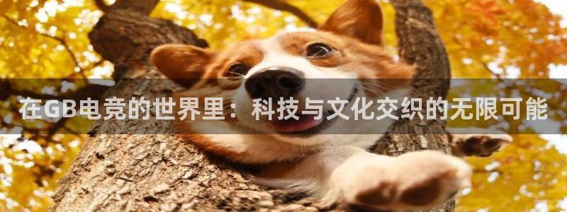 火狐电竞酒店：在GB电竞的世界里：科技与文化交织的无限可能