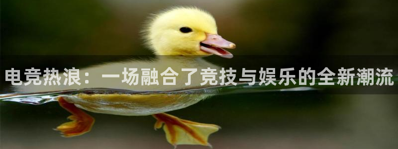 火狐电竞网站：电竞热浪：一场融合了竞技与娱乐的全新潮流