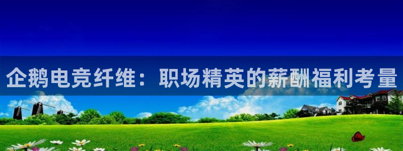 火狐电竞网页：企鹅电竞纤维：职场精英的薪酬福利考量