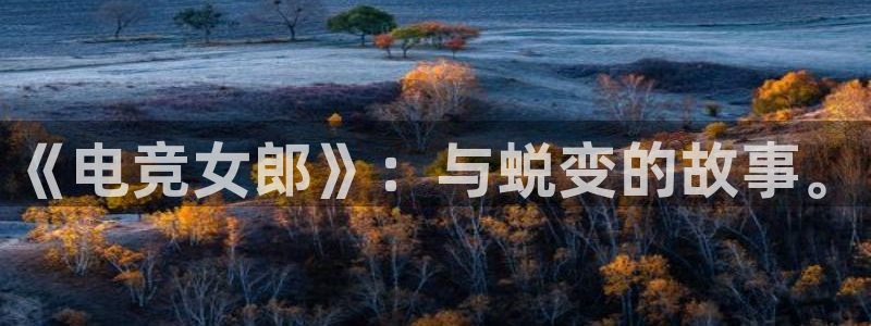 火狐电竞宾馆：《电竞女郎》：与蜕变的故事。