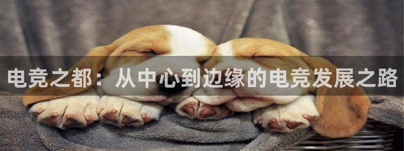 火狐电竞app-官网下载：电竞之都：从中心到边缘的电竞发展之路