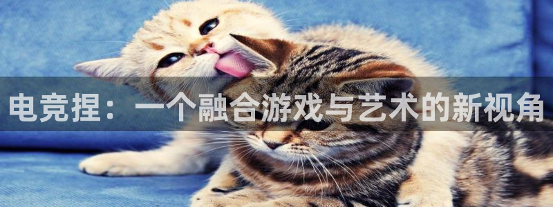 火狐电竞最新官网入口：电竞捏：一个融合游戏与艺术的新视角