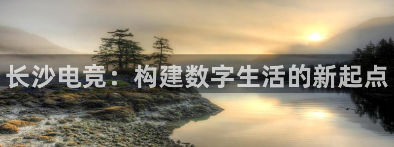 火狐电竞ios：长沙电竞：构建数字生活的新起点