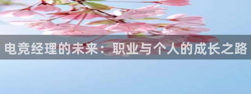 火狐电竞在线入口官网：电竞经理的未来：职业与个人的成长之路