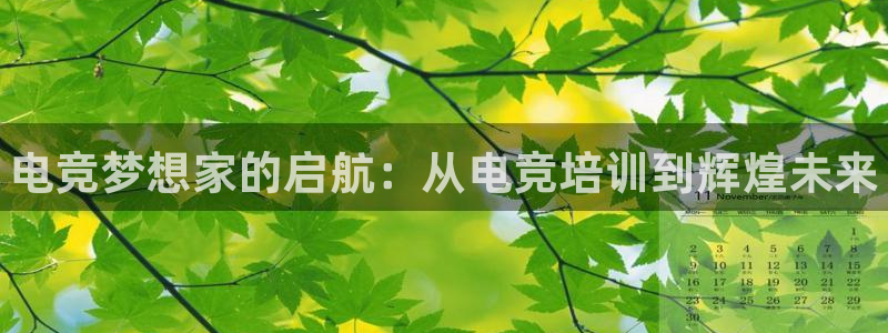 火狐电竞：电竞梦想家的启航：从电竞培训到辉煌未来