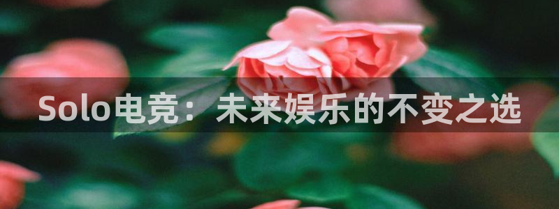火狐电竞huohu：Solo电竞：未来娱乐的不变之选