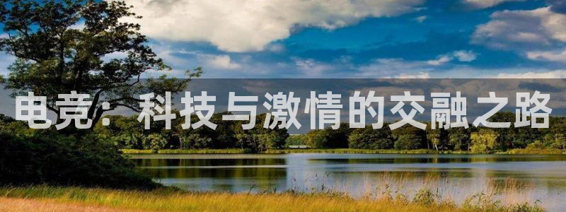 火狐电竞APP：电竞：科技与激情的交融之路