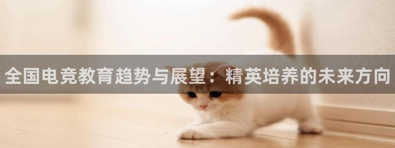 火狐电竞能提现么：全国电竞教育趋势与展望：精英培养的未来方向