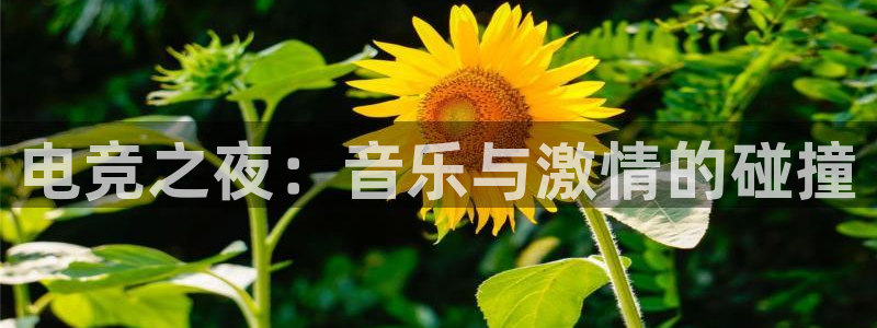 火狐电竞体育：电竞之夜：音乐与激情的碰撞
