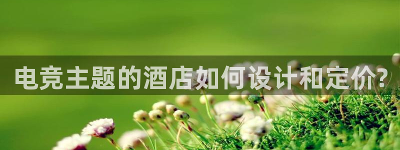火狐电竞平台官网：电竞主题的酒店如何设计和定价?