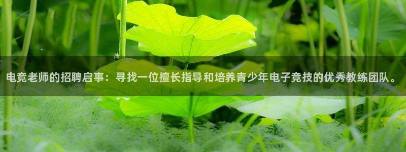 火狐电竞平台app下载：电竞老师的招聘启事：寻找一位擅长指导和培养青少年电子竞技的优秀教练团队。