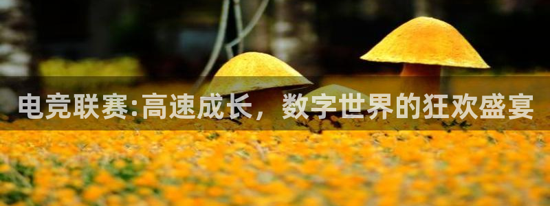 火狐电竞体育：电竞联赛:高速成长，数字世界的狂欢盛宴