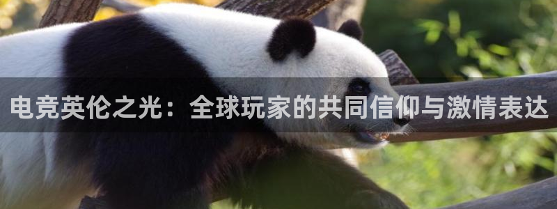 火狐电竞酒店：电竞英伦之光：全球玩家的共同信仰与激情表达