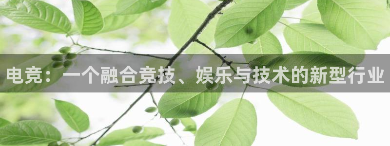 火狐电竞：电竞：一个融合竞技、娱乐与技术的新型行业
