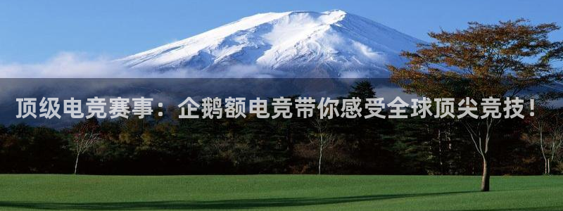 火狐电竞网页：顶级电竞赛事：企鹅额电竞带你感受全球顶尖竞技！