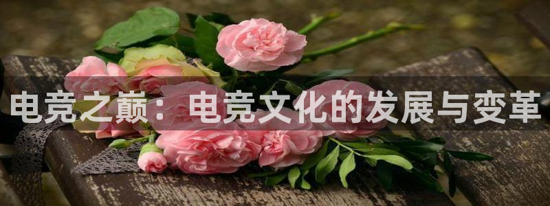 火狐电竞app官网：电竞之巅：电竞文化的发展与变革
