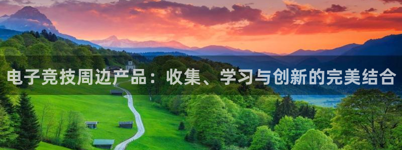 火狐电竞官方网站：电子竞技周边产品：收集、学习与创新的完美结合