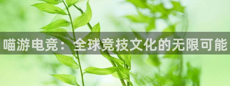 火狐电竞平台app下载：喵游电竞：全球竞技文化的无限可能