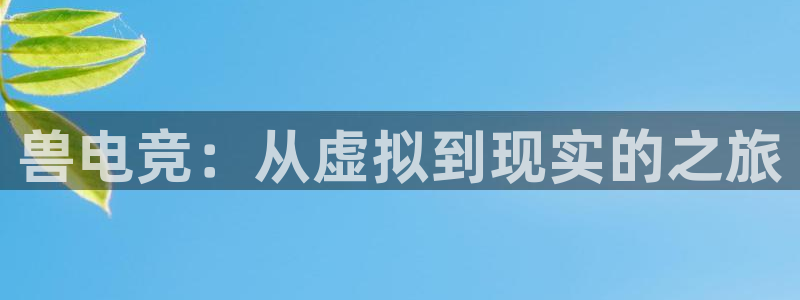 火狐电竞首页：兽电竞：从虚拟到现实的之旅