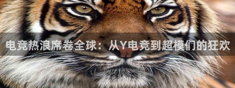 火狐电竞APP首页：电竞热浪席卷全球：从Y电竞到超模们的狂欢