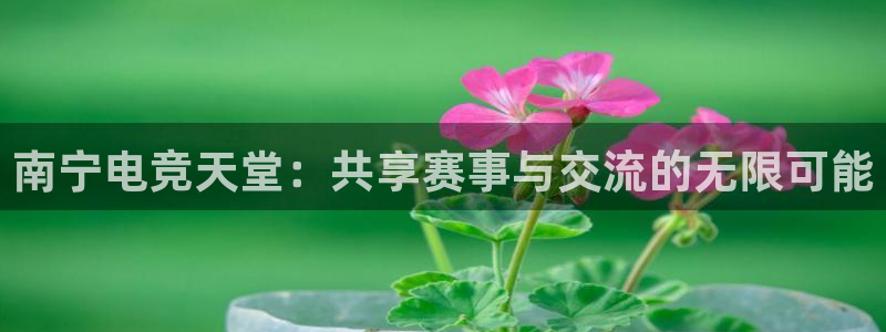 火狐电竞网页版：南宁电竞天堂：共享赛事与交流的无限可能