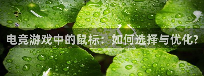 火狐电竞网页：电竞游戏中的鼠标：如何选择与优化?