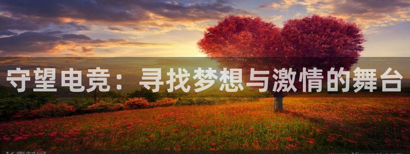 火狐电竞APP官网正版下载：守望电竞：寻找梦想与激情的舞台